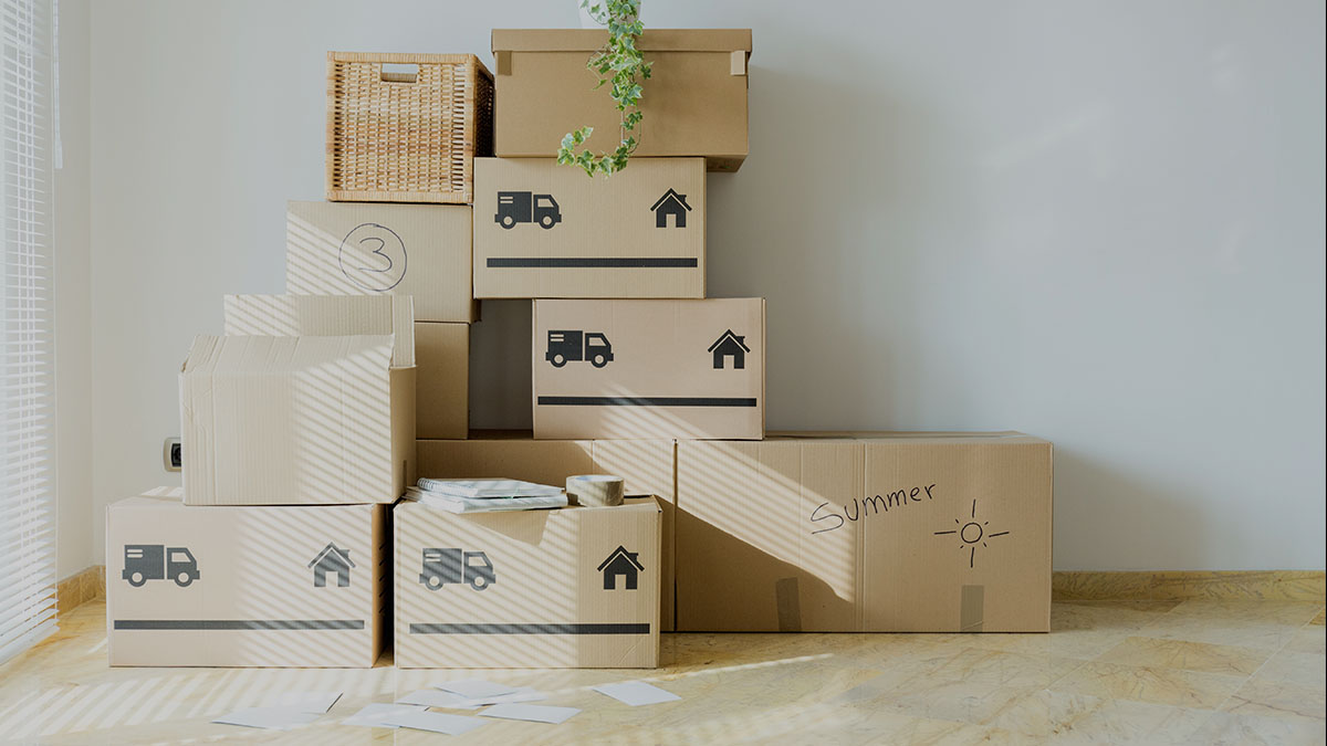 싸다고창업상담